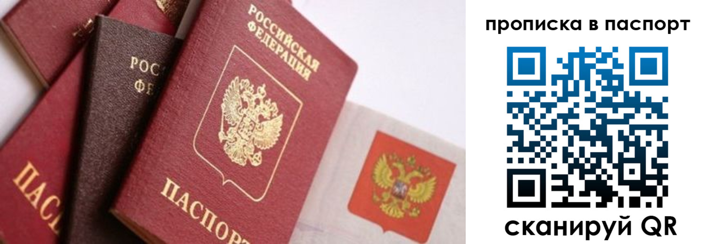 прописка штамп в Касимове